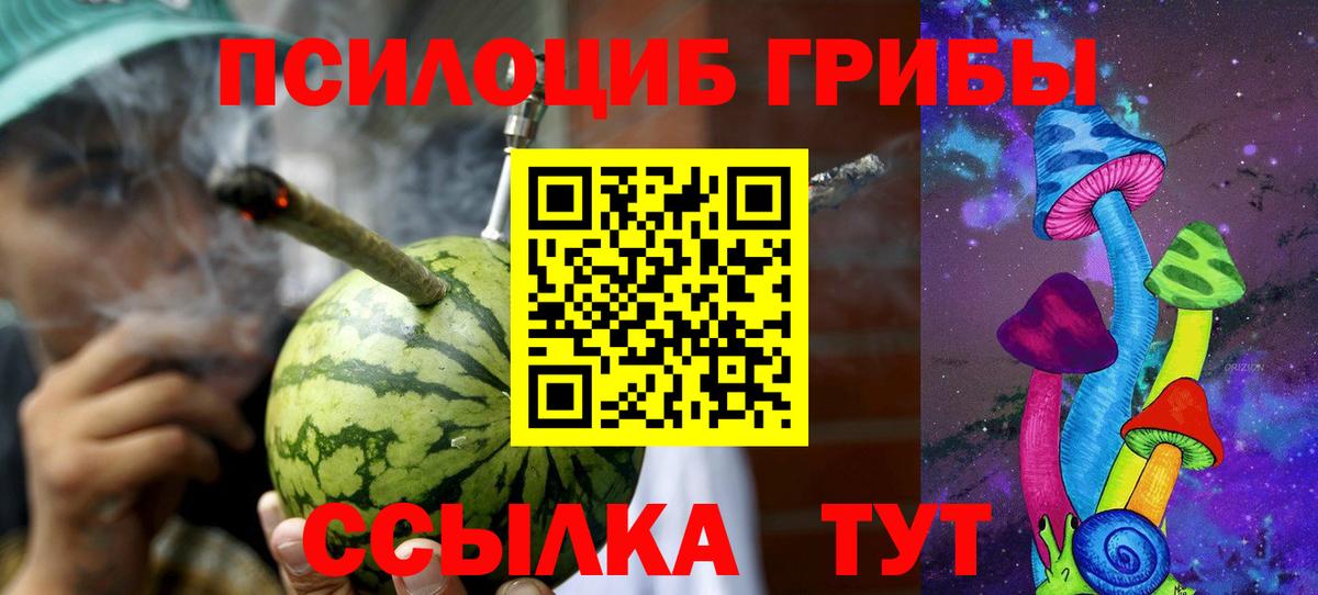 Галлюциногенные грибы мухоморы Новодвинск